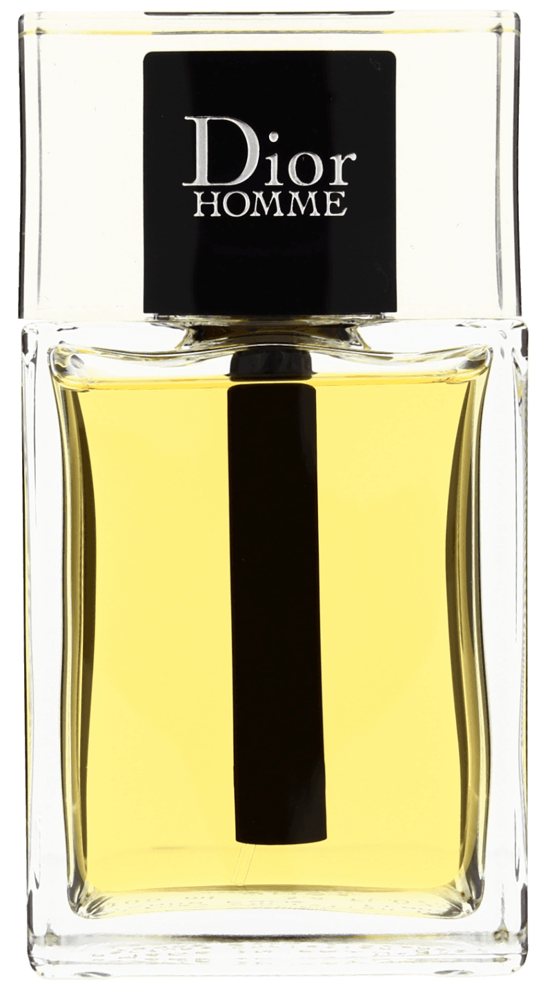 Dior deals homme 100