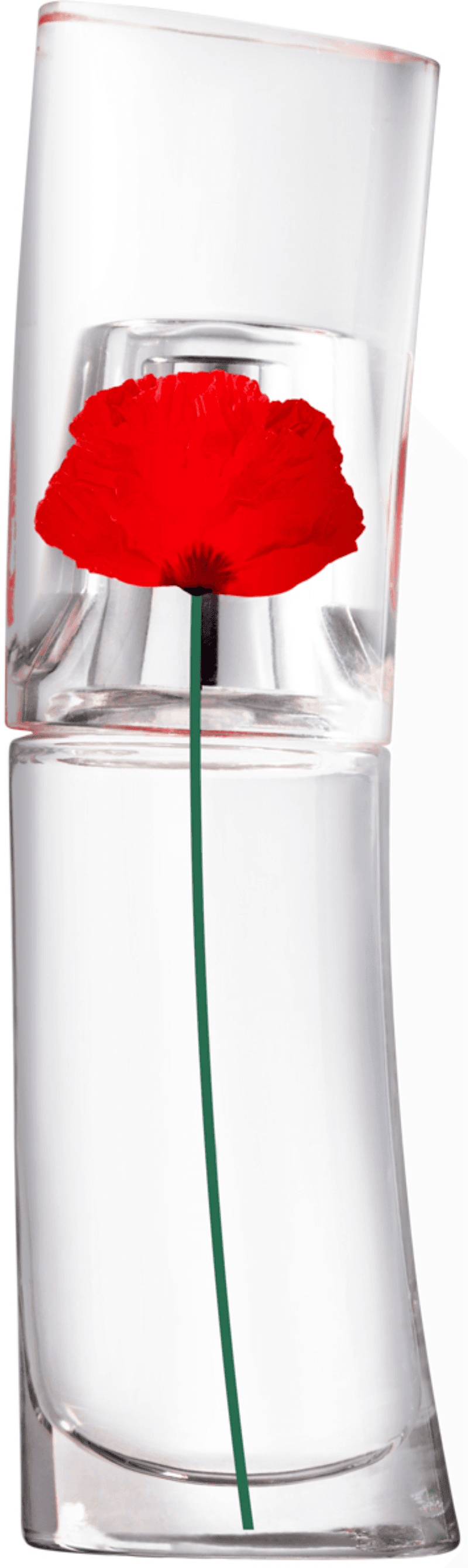 Flower by best sale kenzo edp 15ml
