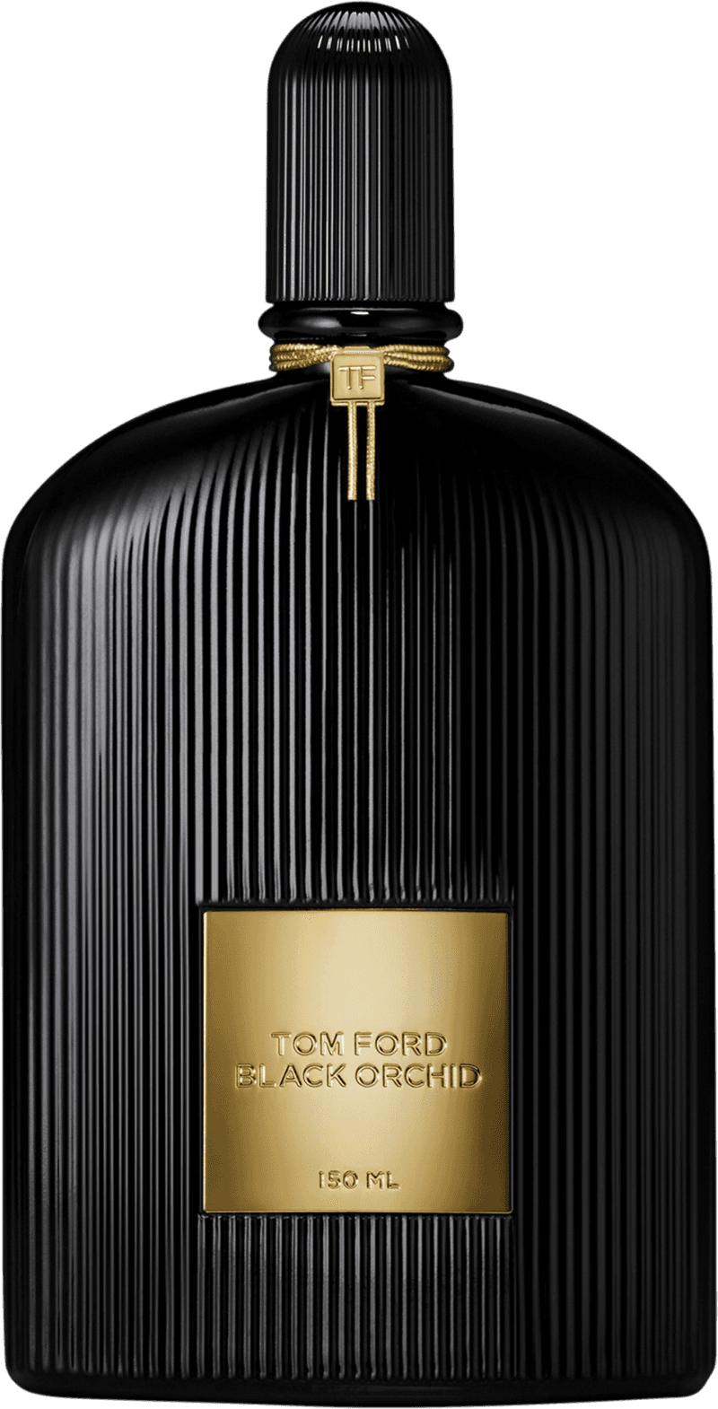 Tf orchid hot sale