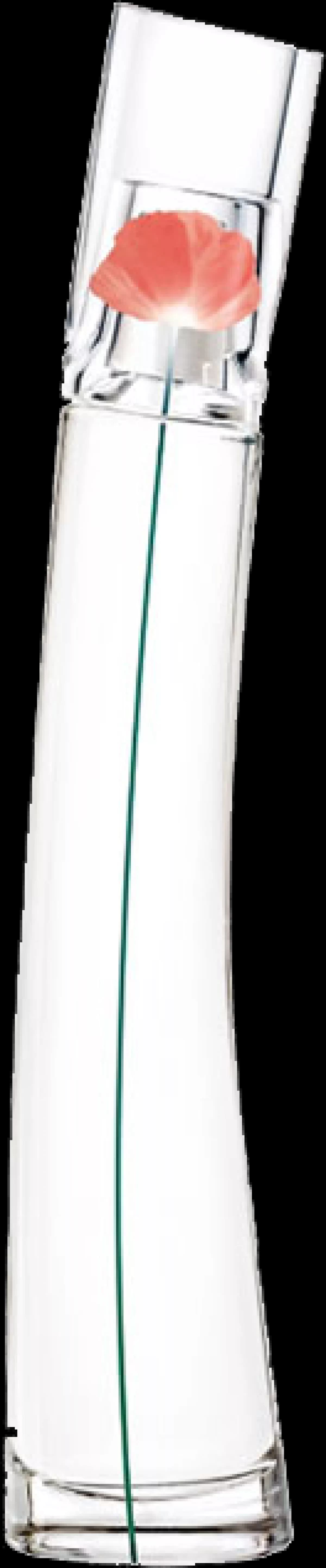 224KB 2001 null null null null 12 2003 null Q q HDOUcb6 zM